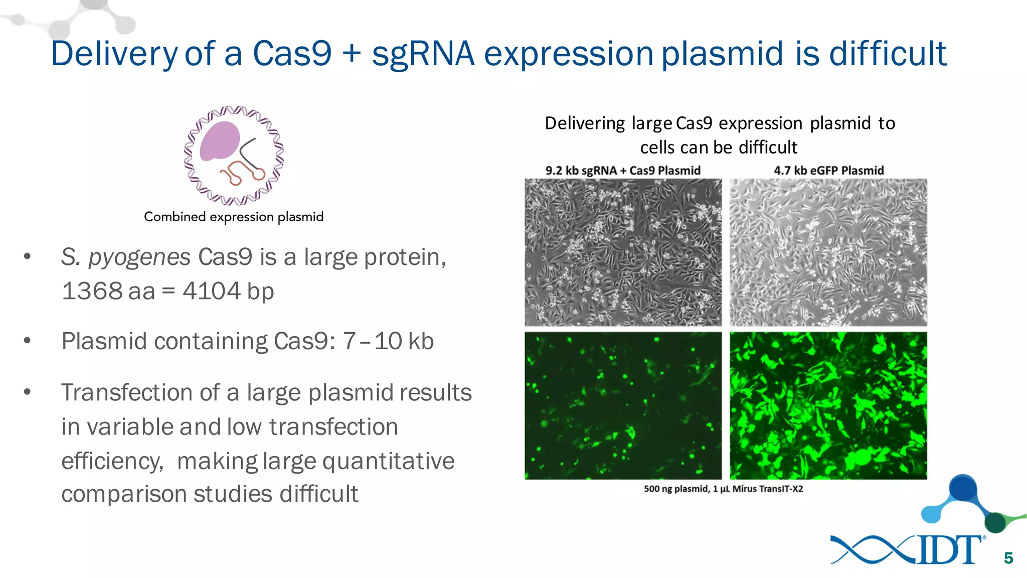 • S. pyogenes Cas9 is a large protein,
1368 aa = 4104 bp
• Plasmid containing Cas9: 7–10 kb
• Transfection of a large plasmid results
in variable and low transfection
efficiency, making large quantitative
comparison studies difficult
Delivery of a Cas9 + sgRNA expressionplasmid is difficult
5
Delivering	
  large	
  Cas9	
  expression	
  plasmid	
  to	
  
cells	
  can	
  be	
  difficult
 