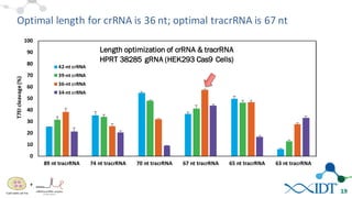19
0
10
20
30
40
50
60
70
80
90
100
89	
  nt	
  tracrRNA 74	
  nt	
  tracrRNA 70	
  nt	
  tracrRNA 67	
  nt	
  tracrRNA 65	
  nt	
  tracrRNA 63	
  nt	
  tracrRNA
T7EI	
  cleavage	
  (%)
42-­‐nt	
  crRNA
39-­‐nt	
  crRNA
36-­‐nt	
  crRNA
34-­‐nt	
  crRNA
Length optimization of crRNA & tracrRNA
HPRT 38285 gRNA (HEK293 Cas9 Cells)
Optimal	
  length	
  for	
  crRNA	
  is	
  36	
  nt;	
  optimal	
  tracrRNA	
  is	
  67	
  nt
+
 