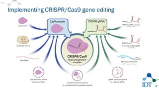 Implementing CRISPR/Cas9 gene editing
2
 