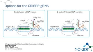 Options for the CRISPR gRNA
3
 