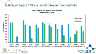 Activity of 2-part RNAs vs. in vitro transcribed sgRNAs
30
0
10
20
30
40
50
60
70
80
90
100
HPRT	
  
38094	
  S	
  
HPRT	
  
38231	
  S	
  
HPRT	
  
38371	
  S	
  
HPRT	
  
38509	
  S	
  
HPRT	
  
38574	
  S	
  
HPRT	
  
38087	
  AS
HPRT	
  
38133	
  AS
HPRT	
  
38285	
  AS
HPRT	
  
38287	
  AS
HPRT	
  
38358	
  AS
HPRT	
  
38636	
  AS
HPRT	
  
38673	
  AS
T7EI	
  cleavage	
  (%)
2-­‐part	
  RNA	
  vs.	
  IVT	
  sgRNA—HPRT	
  12	
  sites
(HEK293	
  Cas9	
  Cells)	
  
2	
  part	
  RNA	
  
IVT	
  sgRNA
-­‐
+ or
 