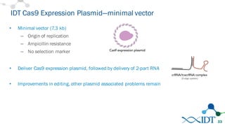 IDT Cas9 Expression Plasmid—minimal vector
• Minimal vector (7.3 kb)
– Origin of replication
– Ampicillin resistance
– No selection marker
• Deliver Cas9 expression plasmid, followed by delivery of 2-part RNA
• Improvements in editing, other plasmid associated problems remain
33
 