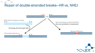 Repair of double-stranded breaks—HR vs. NHEJ
4
 