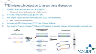 T7EI mismatch detection to assay gene disruption
1. Transfect HEK-Cas9 cells with the CRISPR gRNA
– Alternatively deliver Cas9 as plasmid, mRNA or protein
2. Incubate 48 hours, then harvest genomic DNA
3. PCR amplify region around CRISPR site (400–1000 base amplicons)
– Heat, cool to form heteroduplexes
4. Incubate with T7 Endonuclease I (T7EI, New England BioLabs)
5. Run on gel or Fragment Analyzer™ (Advanced Analytical) to visualize cleavage at heteroduplex mismatch sites
7
 