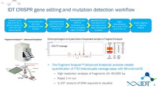 IDT CRISPR gene editing and mutation detection workflow
8
• The Fragment Analyzer™ (Advanced Analytical) provides reliable
quantification of T7EI heteroduplex cleavage assay with 96-channel CE
– High resolution analysis of fragments 10–40,000 bp
– Rapid 1 hr run
– 1/10th amount of DNA required to visualize
Transfect	
  2-­‐part	
  
RNA	
  at	
  30	
  nM or	
  
gBlocks	
  fragment	
  at	
  
3	
  nM into	
  Cas9	
  
expressing	
  cells
Extract	
  gDNA after	
  
48	
  hr with	
  
QuickExtract DNA	
  
Solution
Heat	
  gDNA extract	
  
at	
  65°C	
  for	
  15	
  min	
  
followed	
  by	
  95°C	
  
for	
  15	
  min
Amplify	
  gDNA with	
  
KAPA	
  HiFi
Polymerase	
  and	
  
PCR	
  assay	
  targeting	
  
region	
  of	
  interest
Add	
  NEB	
  buffer	
  2	
  to	
  
PCR,	
  heat	
  to	
  95°C	
  
and	
  slowly	
  cool	
  to	
  
allow	
  heteroduplex
formation
Digest	
  
heteroduplexes	
  
with	
  2	
  units	
  of	
  T7EI	
  
at	
  37°C	
  for	
  1	
  hr
Analyze	
  digestion	
  
on	
  Fragment	
  
Analyzer
Electropherogramand peaktableof separated sample on FragmentAnalyzer
52%	
  T7	
  cleavage
 