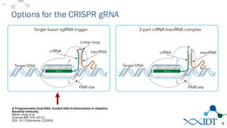 Options for the CRISPR gRNA
9
 