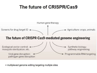 CRISPR CAS | PPTX