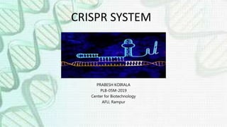 CRISPR SYSTEM
PRABESH KOIRALA
PLB-05M-2019
Center for Biotechnology
AFU, Rampur
 