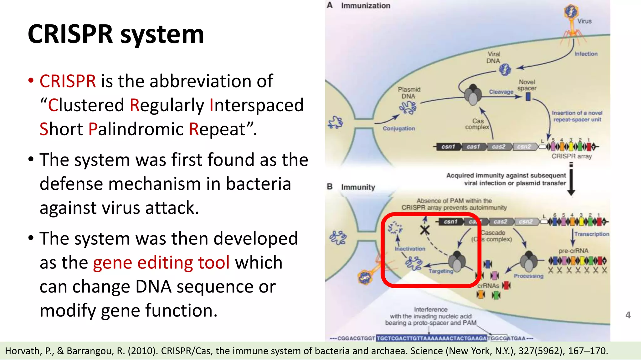 CRISPR system
• CRISPR is the abbreviation of
“Clustered Regularly Interspaced
Short Palindromic Repeat”.
• The system was first found as the
defense mechanism in bacteria
against virus attack.
• The system was then developed
as the gene editing tool which
can change DNA sequence or
modify gene function. 4
Horvath, P., & Barrangou, R. (2010). CRISPR/Cas, the immune system of bacteria and archaea. Science (New York, N.Y.), 327(5962), 167–170.
 