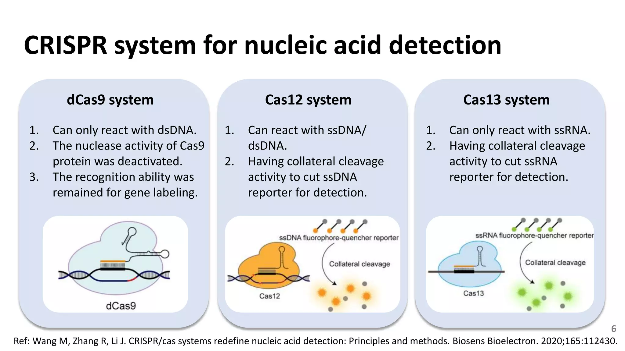 CRISPR system for nucleic acid detection
dCas9 system Cas12 system Cas13 system
1. Can only react with dsDNA.
2. The nuclease activity of Cas9
protein was deactivated.
3. The recognition ability was
remained for gene labeling.
1. Can react with ssDNA/
dsDNA.
2. Having collateral cleavage
activity to cut ssDNA
reporter for detection.
1. Can only react with ssRNA.
2. Having collateral cleavage
activity to cut ssRNA
reporter for detection.
Ref: Wang M, Zhang R, Li J. CRISPR/cas systems redefine nucleic acid detection: Principles and methods. Biosens Bioelectron. 2020;165:112430.
6
 