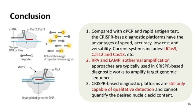 CRISPR system for COVID-19 diagnostics.pptx | Operating Systems ...