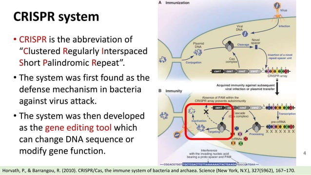 CRISPR system for COVID-19 diagnostics.pptx | Operating Systems ...