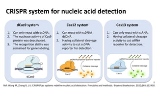crispr-system-for-covid-19-diagnostics-pptx