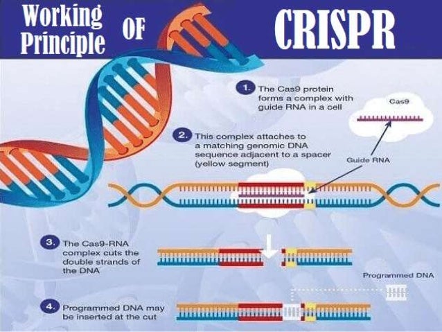 Crispr technology course | PPTX