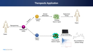 PRESCOUTER 30
Therapeutic Application
Patient
Corrected
hPSCs
Reprogramming
Patient-specific
hPSCs
Directed
differentiation
Replacement
therapy
Patient
Corrected
tissue or organs
Isogenic
hPSCs Patient-specific
tissues or organs
Drug screening
Drug candidates for
precision therapy
FoldChangeofINS+
CellDeathRate
#of INS+
cells
0.01
0.10
1.00
10.00
-100 100 300 500 700 900 1100 1300 1500
 