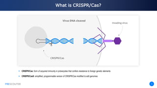 PRESCOUTER 5
What is CRISPR/Cas?
PRESCOUTER
 CRISPR/Cas: form of acquired immunity in prokaryotes that confers resistance to foreign genetic elements
 CRISPR/Cas9: simplified, programmable version of CRISPR/Cas modified to edit genomes
 