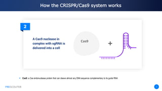 PRESCOUTER 7
How the CRISPR/Cas9 system works
PRESCOUTER
 Cas9: a Cas endonuclease protein that can cleave almost any DNA sequence complementary to its guide RNA
 