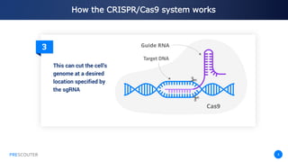 PRESCOUTER 8
How the CRISPR/Cas9 system works
PRESCOUTER
 