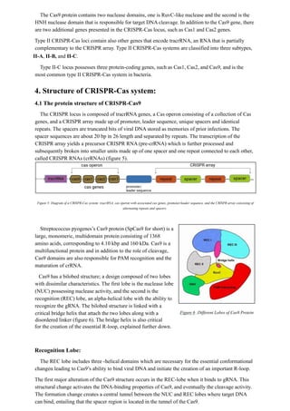 CRISPR-Cas9: History, mechanism, applications and future of genetic ...