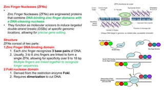 Talens Overview Comprehensive Overview of Genome Editing Technologies: ZFNs, TALENs ...