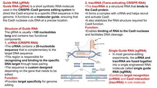 Talens Overview Comprehensive Overview of Genome Editing Technologies: ZFNs, TALENs ...