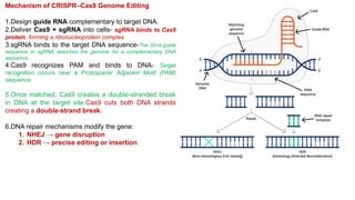 Talens Overview Comprehensive Overview of Genome Editing Technologies: ZFNs, TALENs ...