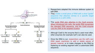 Talens Overview Comprehensive Overview of Genome Editing Technologies: ZFNs, TALENs ...