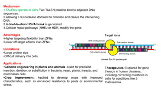 Comprehensive Overview of Genome Editing Technologies: ZFNs, TALENs ...