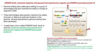 Talens Overview Comprehensive Overview of Genome Editing Technologies: ZFNs, TALENs ...