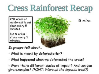 Cress Rainforest Recap ,[object Object],[object Object],[object Object],[object Object],5 mins 250 acres  of rainforest is cut down every 5 minutes.  Cut  5 cress  stems every 5 minutes. 