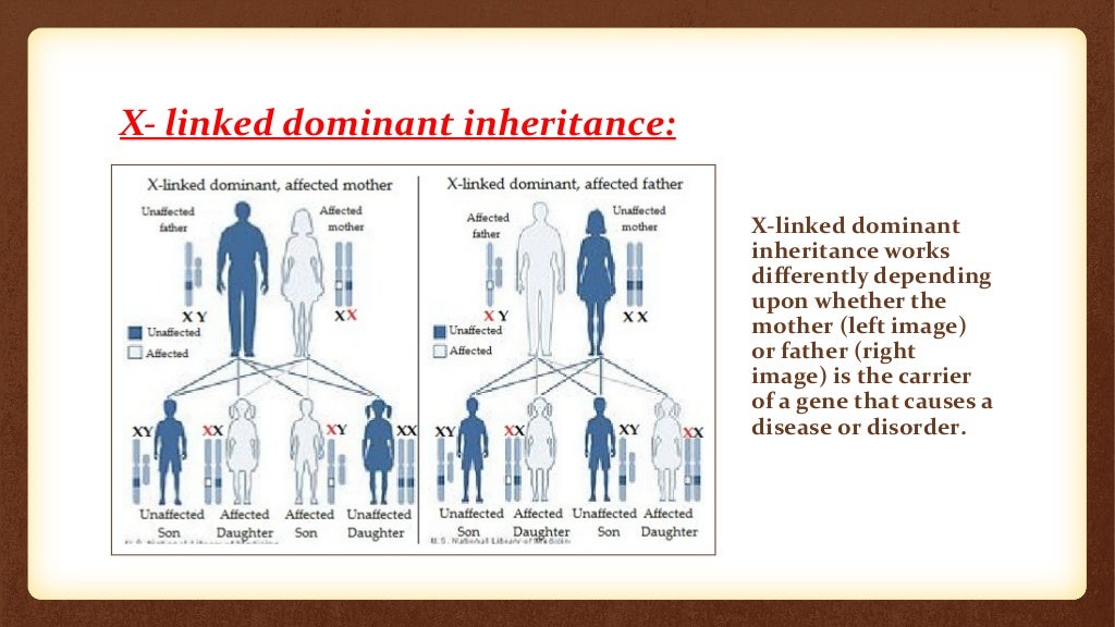 Criss cross inheritance