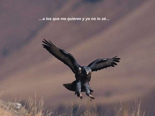 … a los que me quieren y yo no lo sé… 