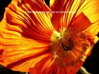 Y que cada nuevo día sea un nuevo renacer 