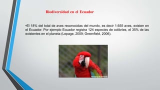 Biodiversidad en el Ecuador
•El 18% del total de aves reconocidas del mundo, es decir 1.655 aves, existen en
el Ecuador. Por ejemplo Ecuador registra 124 especies de colibríes, el 35% de las
existentes en el planeta (Lepage, 2009; Greenfield, 2006).
 