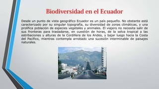 Desde un punto de vista geográfico Ecuador es un país pequeño. No obstante está
caracterizado por su singular topografía, su diversidad de zonas climáticas, y una
prolífica población de especies vegetales y animales. El viajero no necesita salir de
sus fronteras para trasladarse, en cuestión de horas, de la selva tropical a las
estribaciones y alturas de la Cordillera de los Andes, y bajar luego hacia la Costa
del Pacífico, mientras contempla arrobado una sucesión interminable de paisajes
naturales.
 