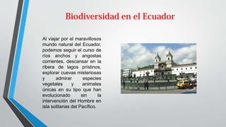 Al viajar por el maravillosos
mundo natural del Ecuador,
podemos seguir el curso de
ríos anchos y angostas
corrientes, descansar en la
ribera de lagos prístinos,
explorar cuevas misteriosas
y admirar especies
vegetales y animales
únicas en su tipo que han
evolucionado sin la
intervención del Hombre en
isla solitarias del Pacífico.
 