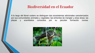 A lo largo del litoral costero se distinguen dos ecosistemas adicionales caracterizados
por sus comunidades animales y vegetales: las entrantes de manglar y otras áreas; las
playas y acantilados conocidos por su peculiar formación rocosa.
 