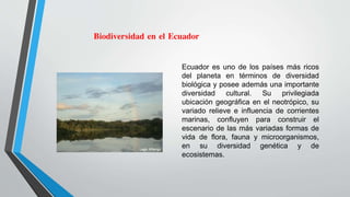 Ecuador es uno de los países más ricos
del planeta en términos de diversidad
biológica y posee además una importante
diversidad cultural. Su privilegiada
ubicación geográfica en el neotrópico, su
variado relieve e influencia de corrientes
marinas, confluyen para construir el
escenario de las más variadas formas de
vida de flora, fauna y microorganismos,
en su diversidad genética y de
ecosistemas.
Biodiversidad en el Ecuador
 