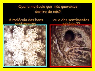 Qual a molécula que  nós queremos dentro de nós? A molécula dos bons sentimentos, ou a dos sentimentos poluídos?? 