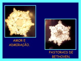 AMOR E ADMIRAÇÃO. PASTORAIS DE BETHOVEN. 
