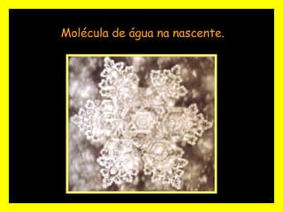 Molécula de água na nascente. 