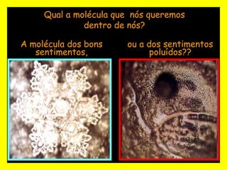 Qual a molécula que  nós queremos dentro de nós? A molécula dos bons sentimentos, ou a dos sentimentos poluídos?? 