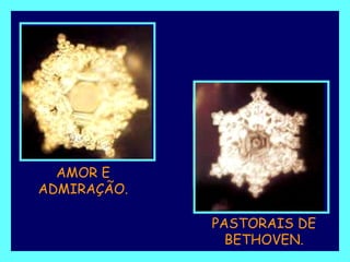 AMOR E ADMIRAÇÃO. PASTORAIS DE BETHOVEN. 