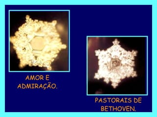 AMOR E ADMIRAÇÃO. PASTORAIS DE BETHOVEN. 