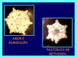 AMOR E ADMIRAÇÃO. PASTORAIS DE BETHOVEN. 