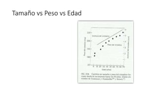 Tamaño vs Peso vs Edad
 