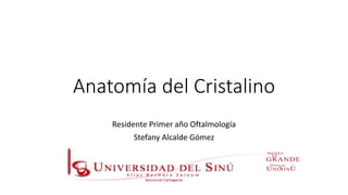 Anatomía del Cristalino
Residente Primer año Oftalmología
Stefany Alcalde Gómez
 