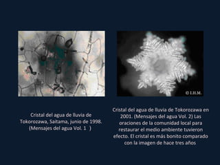 Cristal del agua de lluvia de Tokorozawa, Saitama, junio de 1998. (Mensajes del agua Vol. 1 ） Cristal del agua de lluvia de Tokorozawa en 2001. (Mensajes del agua Vol. 2) Las oraciones de la comunidad local para restaurar el medio ambiente tuvieron efecto. El cristal es más bonito comparado con la imagen de hace tres años  