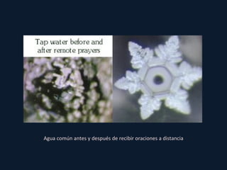 Agua común antes y después de recibir oraciones a distancia 