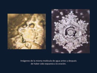 Imágenes de la misma molécula de agua antes y después de haber sido expuesta a la oración. 